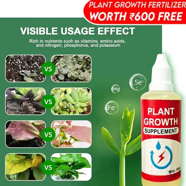 Premium™ Imported Blossom Flower Seeds (Pack Of 100) + Plant Growth Supplement Free 😍