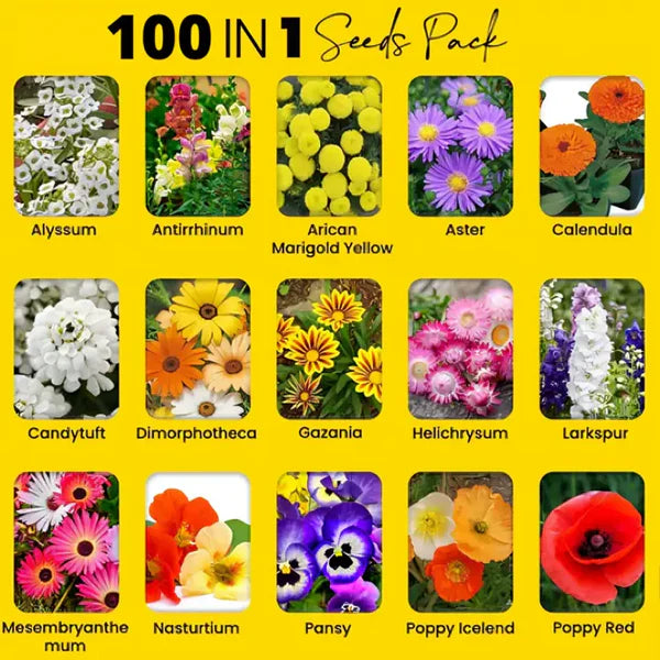Premium™ Imported Blossom Flower Seeds (Pack Of 100) + Plant Growth Supplement Free 😍