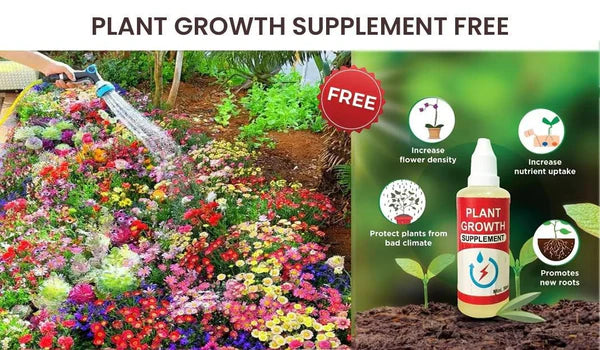 Premium™ Imported Blossom Flower Seeds (Pack Of 100) + Plant Growth Supplement Free 😍