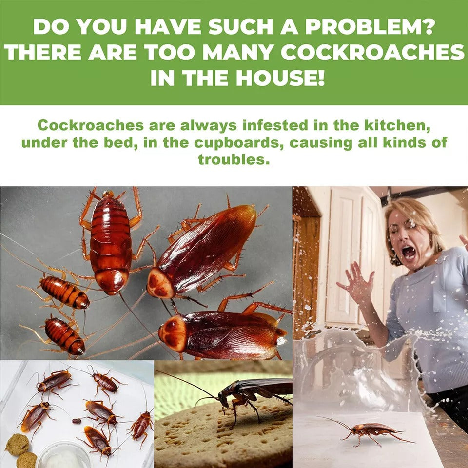 Ultimate Cockroach Killer Gel (Buy 1 Get 1 FREE) 🔥