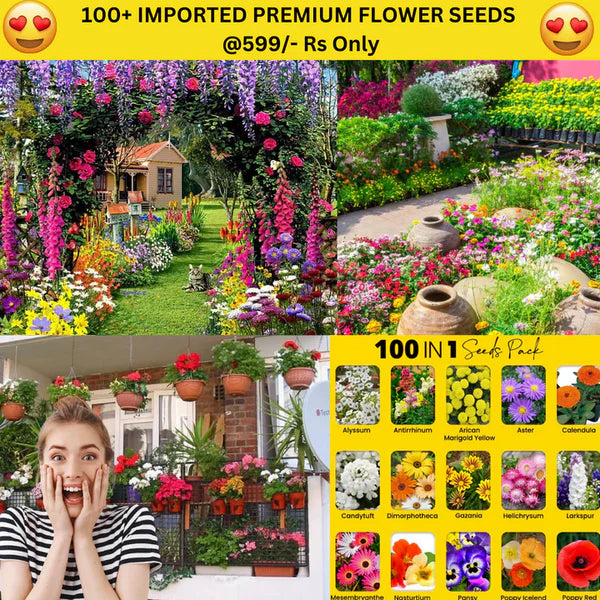 Premium™ Imported Blossom Flower Seeds (Pack Of 100) + Plant Growth Supplement Free 😍