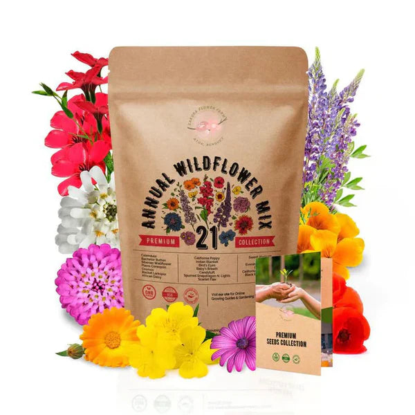 Premium™ Imported Blossom Flower Seeds (Pack Of 100) + Plant Growth Supplement Free 😍