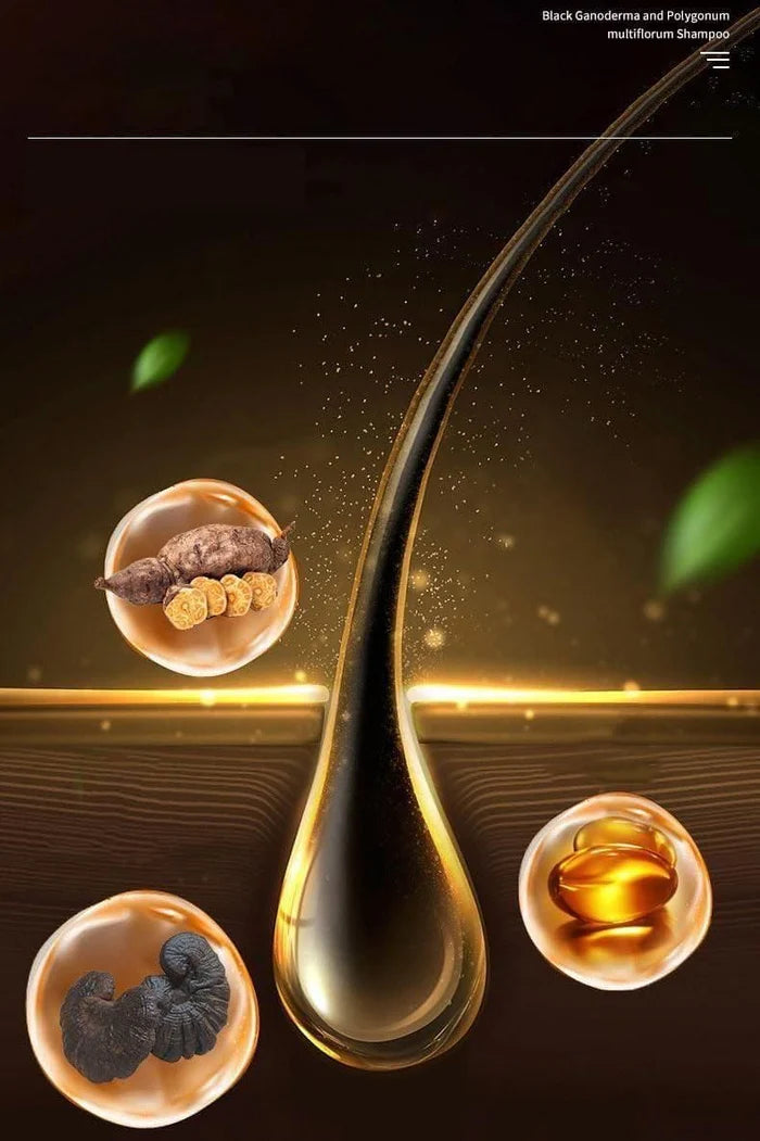 Ginger Plant Extract Anti-Hair Loss Hair Shampoo✨ (New Year Mega Value Bonus Offer)