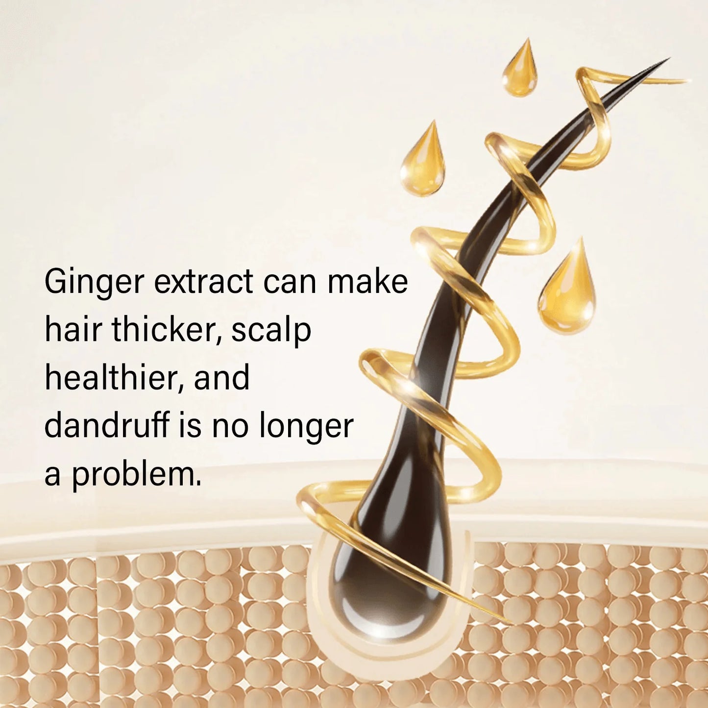 Ginger Plant Extract Anti-Hair Loss Hair Shampoo✨ (New Year Mega Value Bonus Offer)
